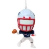 Hallmark New England Patriots Bobble Head Ornament