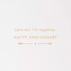 Hallmark Signature Oars "Love" Anniversary Card -Toy Store 5624256 ALT2