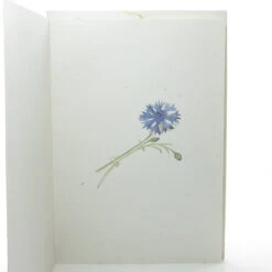 Marjolein Bastin "Each Day Is A Gift" Hallmark Greeting Card With Envelope -Toy Store Blue cornflower greeting card marjolein bastin