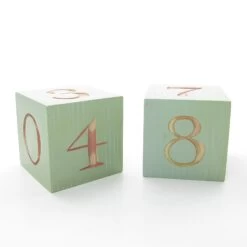 Marjolein Bastin Watering Can Perpetual Block Calendar Hallmark Desk Decor -Toy Store Days of the week month year calendar blocks perpetual