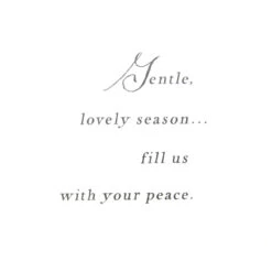 Hallmark Bunny Rabbit In Snow Winter Christmas Holiday Season's Greeting Cards -Toy Store Gentle season fill us with your peace greeting cards